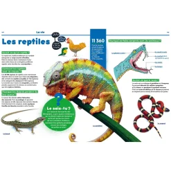 1001 POURQUOI COMMENT - SCIENCE & VIE JUNIOR - Editions Auzou