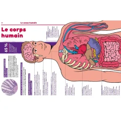 1001 POURQUOI COMMENT - SCIENCE & VIE JUNIOR - Editions Auzou