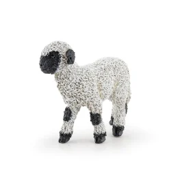 Agneau nez noir du Valais - Papo