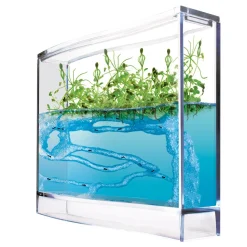 Antquarium : Super forêt de fourmis - Antquarium