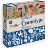 Atelier Cyanotype Herbier - Sentosphère