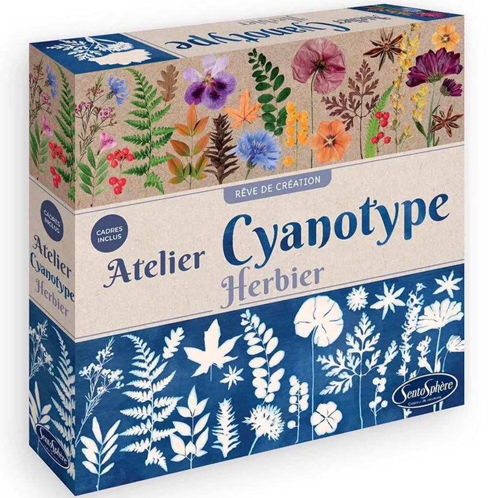 Atelier Cyanotype Herbier - Sentosphère