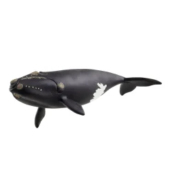 Baleine de l'Atlantique - Schleich