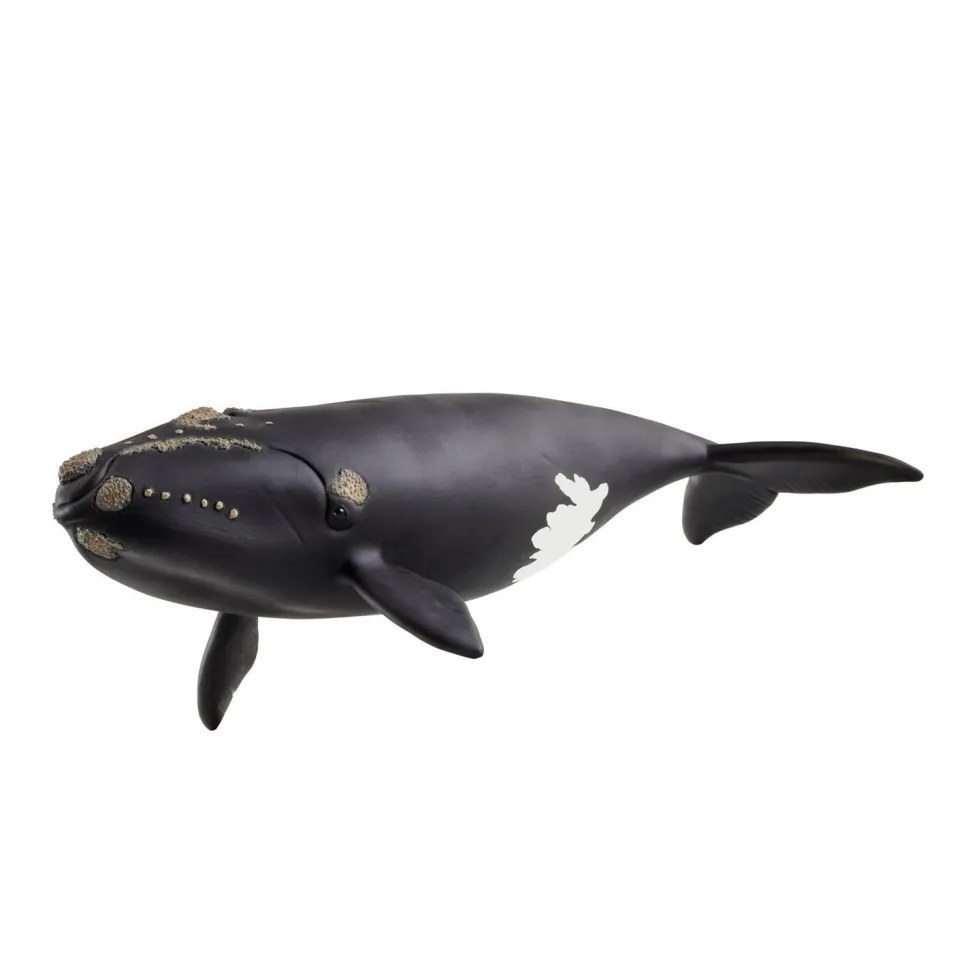 Baleine de l'Atlantique - Schleich