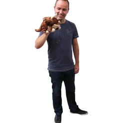 Bébé Dinos - Dinos Bébé Triceratops - The Puppet Company