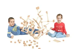 Blocs de construction créatifs 141 pcs. - Eduplay