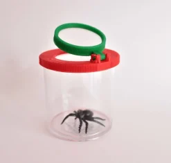 Boîte à loupe grande - Eduplay