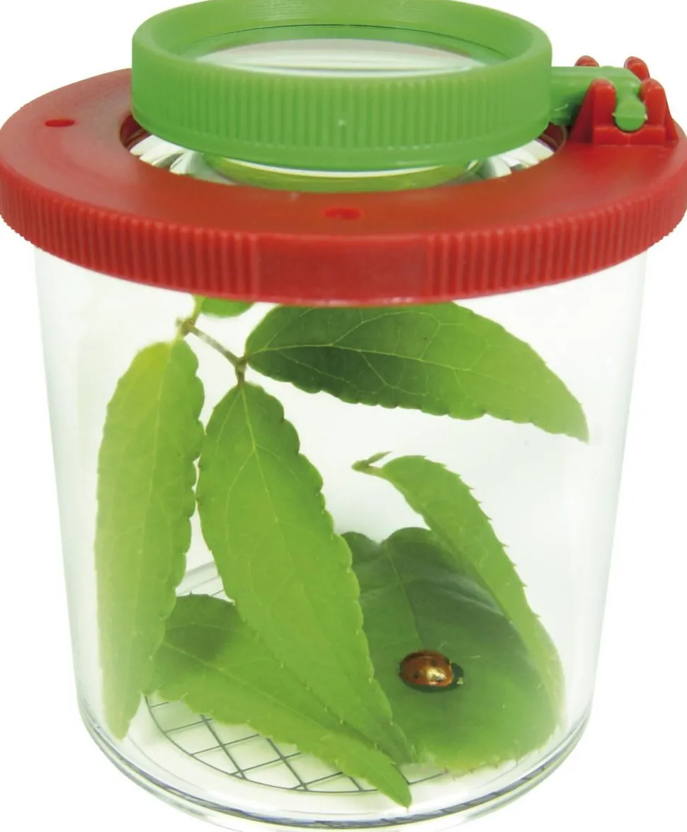 Boîte à loupe grande - Eduplay