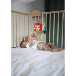 Boîte à musique : Maxi cube sensoriel Sophie la girafe - Vulli