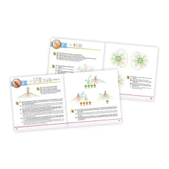 Bracelets d'amitié - Buki France