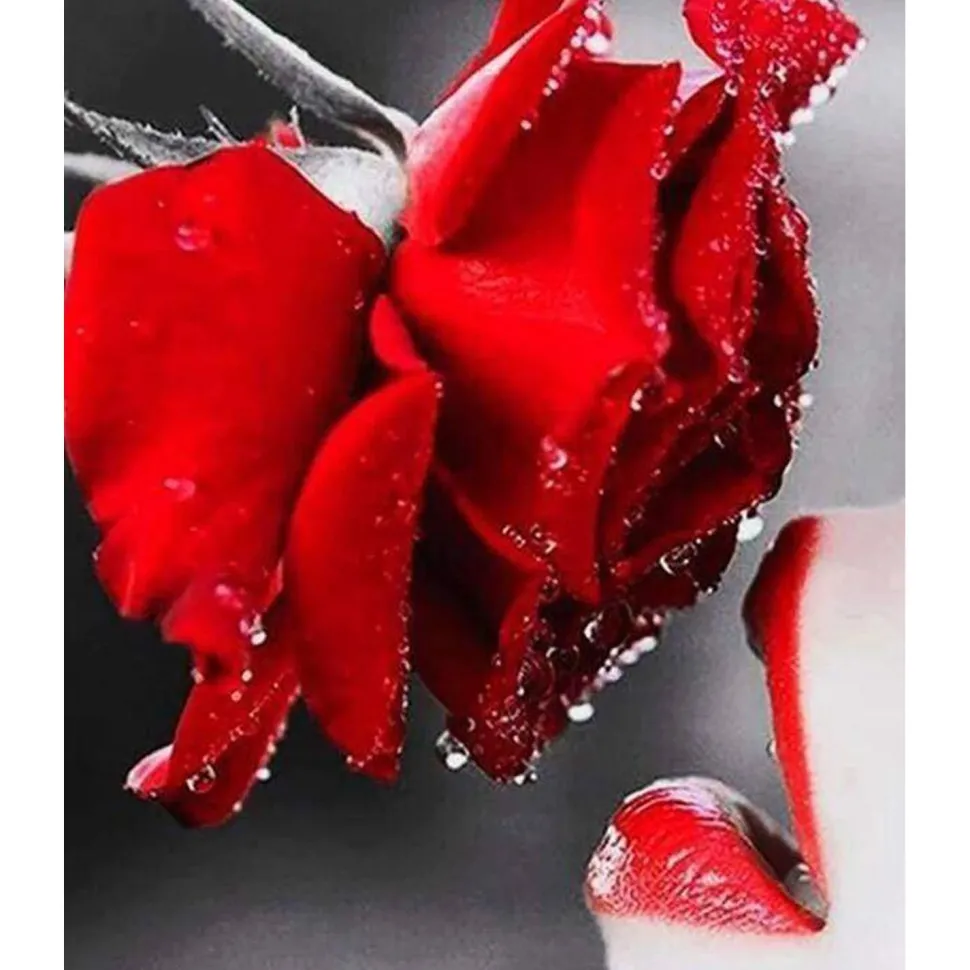 Broderie diamant : Bouche et Rose rouge - sans chassis en bois - Figured'Art