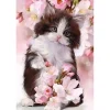 Broderie diamant : Chat et Fleurs - sans chassis en bois - Figured'Art