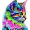 Broderie diamant : Chaton coloré - toile tendue sur chassis - Figured'Art