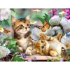 Broderie diamant : Chatons et Papillon - sans chassis en bois - Figured'Art
