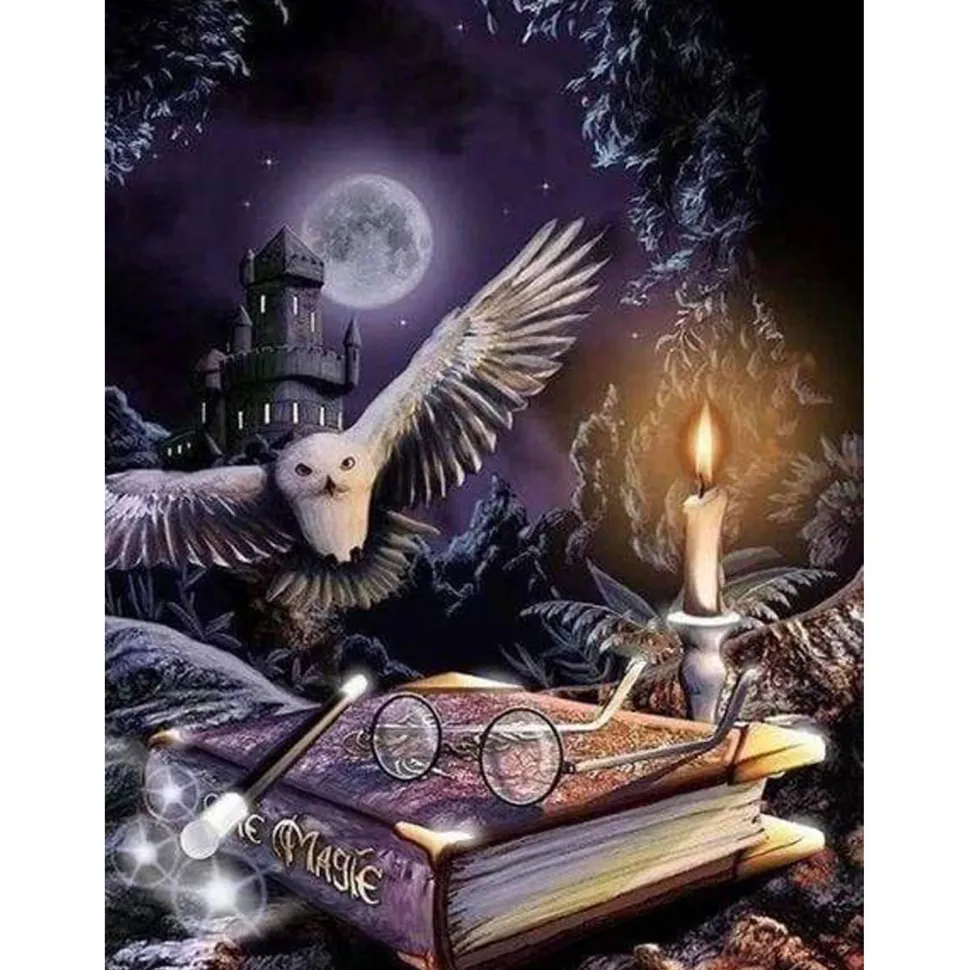Broderie diamant : Chouette dans la Nuit - toile tendue sur chassis - Figured'Art