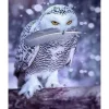 Broderie diamant : Chouette et Plume - sans chassis en bois - Figured'Art