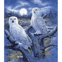 Broderie diamant : Chouettes et Lune - sans chassis en bois - Figured'Art