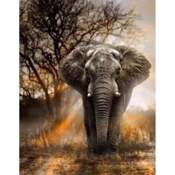 Broderie diamant : Eléphant dans la Savane - sans chassis en bois - Figured'Art