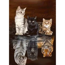 Broderie diamant : Reflets Chatons - sans chassis en bois - Figured'Art