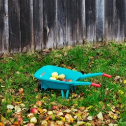 Brouette Bosch - Klein