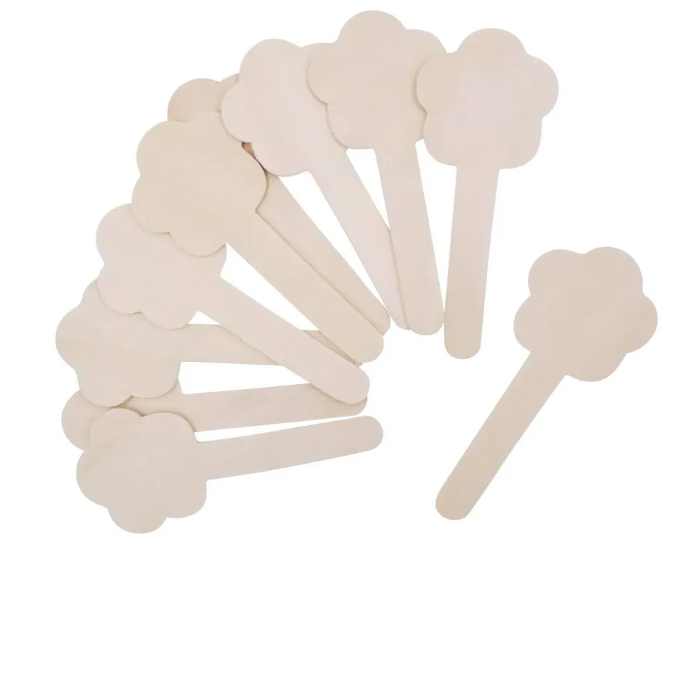 Bâtonnets de bricolage fleur set de 10 - Eduplay