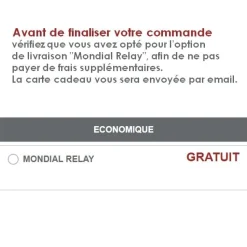 Carte Cadeau - 100 euros - Rue des Maquettes