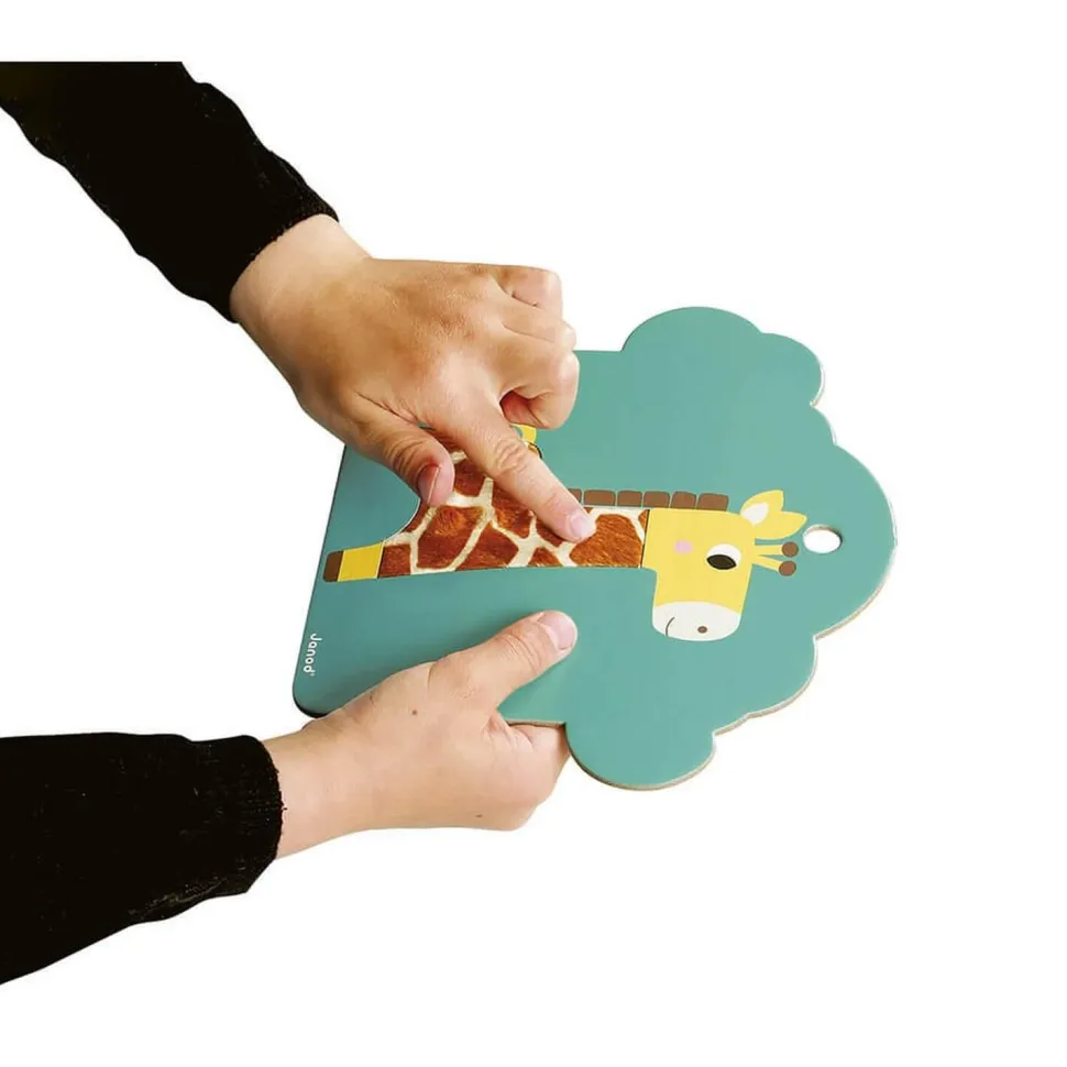 Cartes Tactiles Savane - Janod