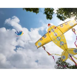 Cerf volant : Maxi Plane - Djeco