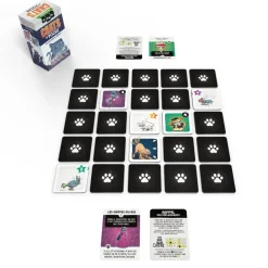 Chats de Poche - Blackrock