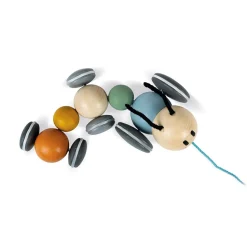 Chenille à promener : Sweet Cocoon - Janod