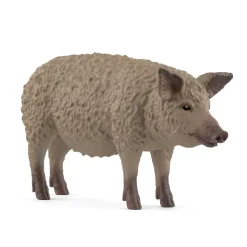 Cochon Mangalica - Schleich