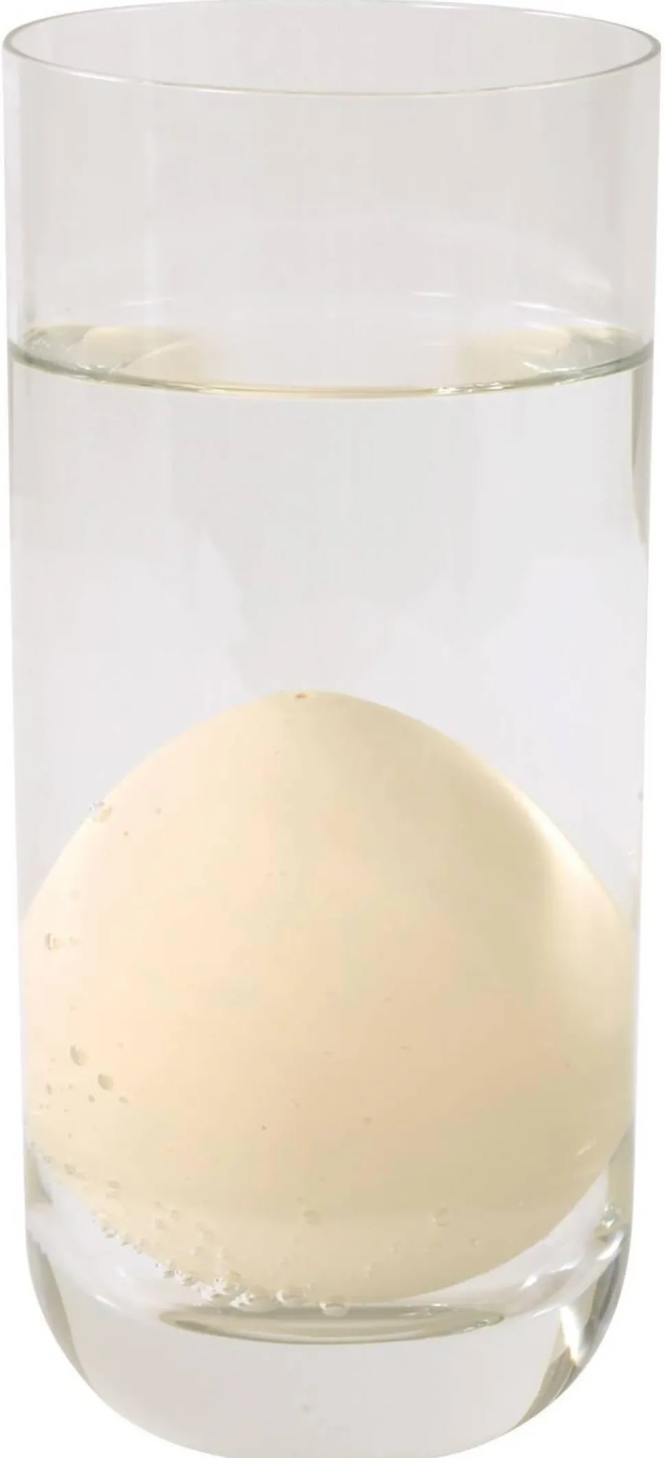 Coeufs d'animaux marins, grandissants - Eduplay