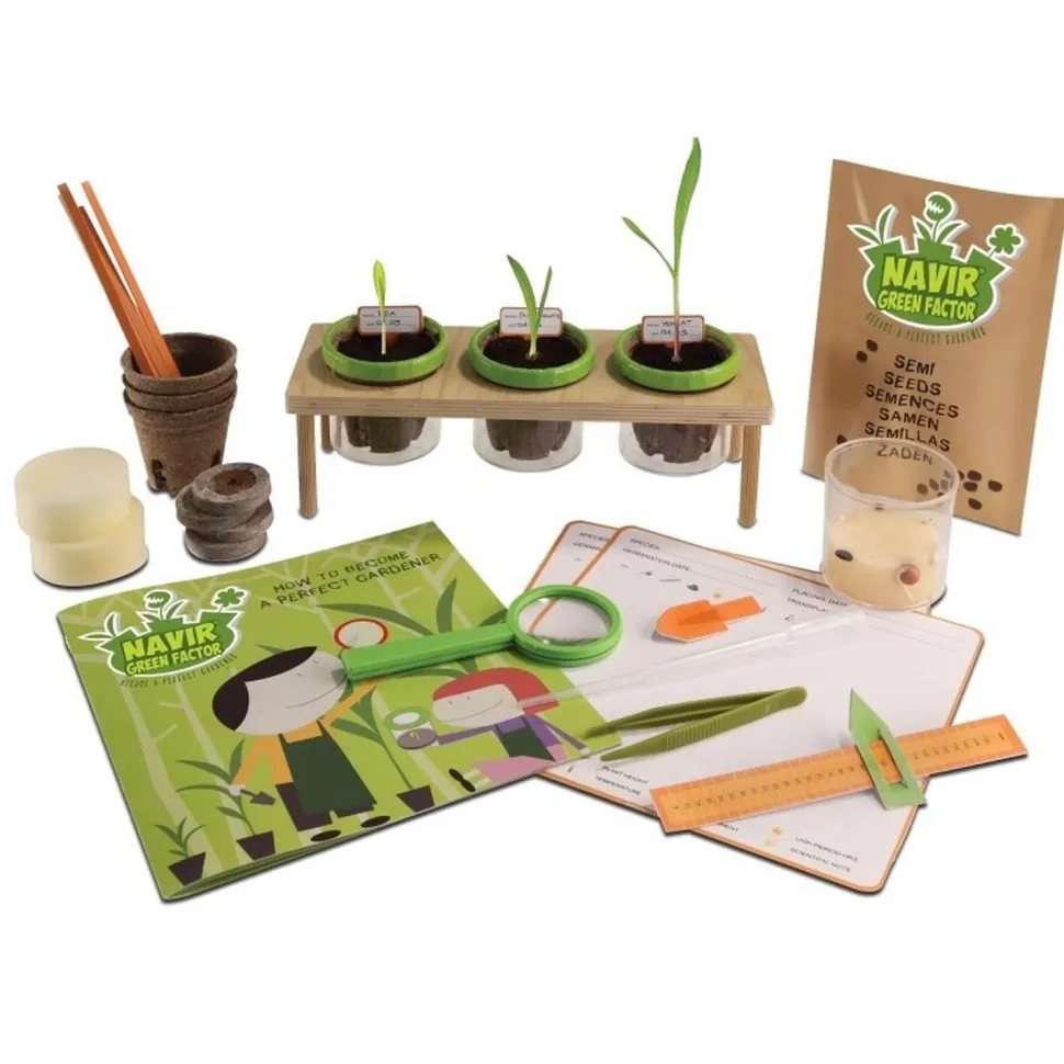 Coffret Botanique - Explore the World - Bass et Bass