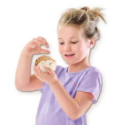 Coffret Explore : Géodes à ouvrir - SES Creative