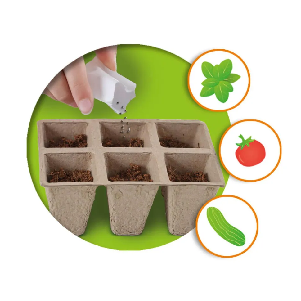 Coffret Explore : Serre à légumes - SES Creative