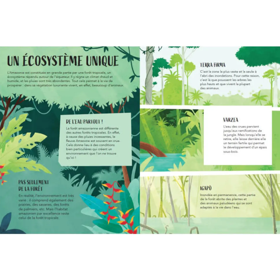 Coffret livre et puzzle 220 pièces : La Planète en danger : L'Amazonie - Sassi