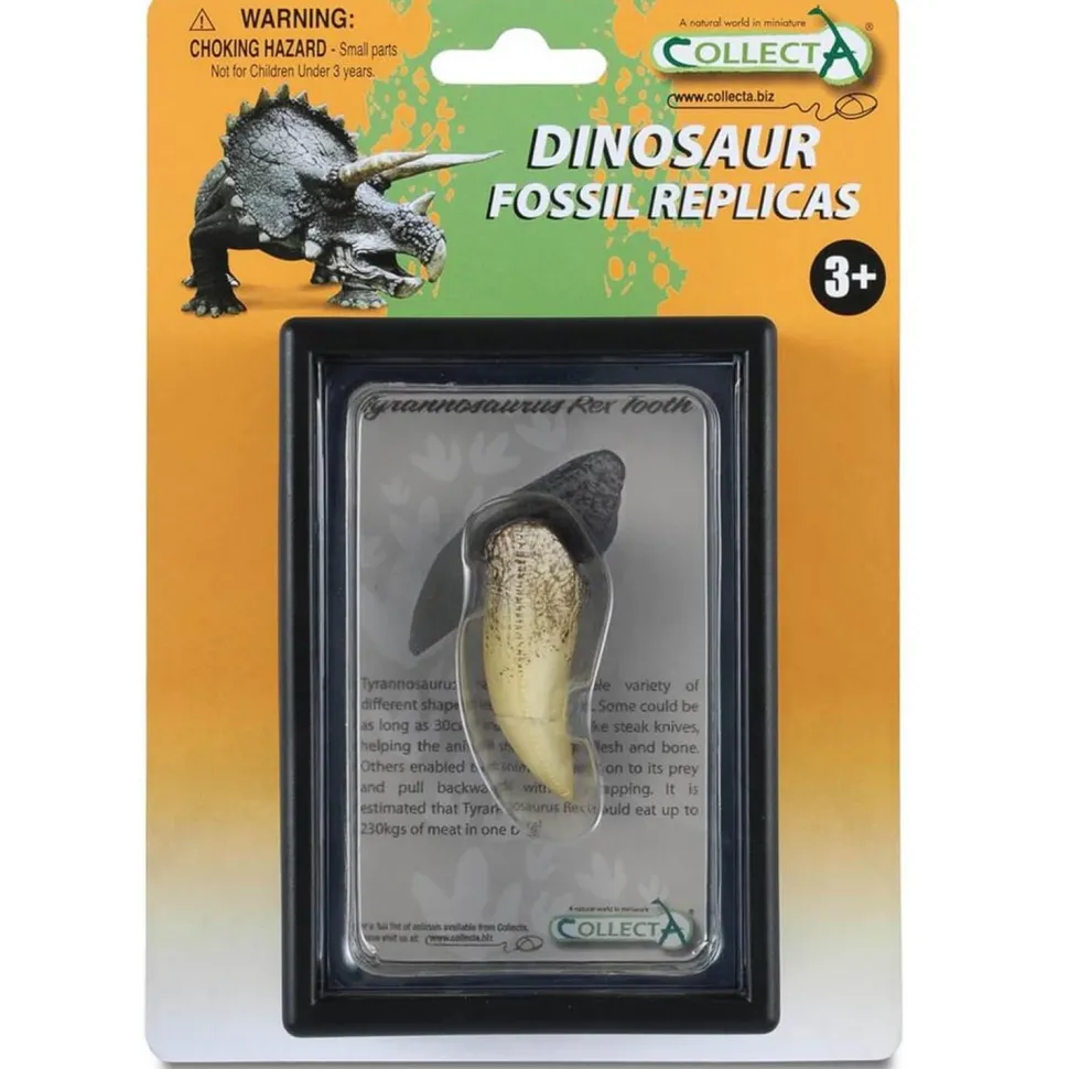 Coffret préhistorique : Dent de Tyrannosaurus Rex (Réplique de fossile) - Figurines Collecta
