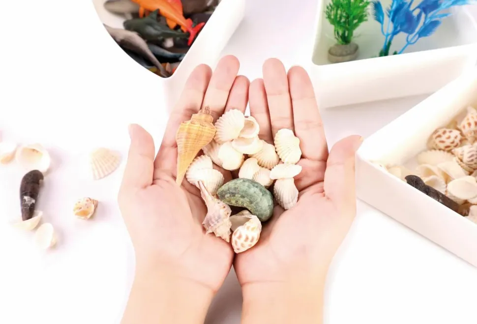 Coffret sensoriel Mer - Eduplay