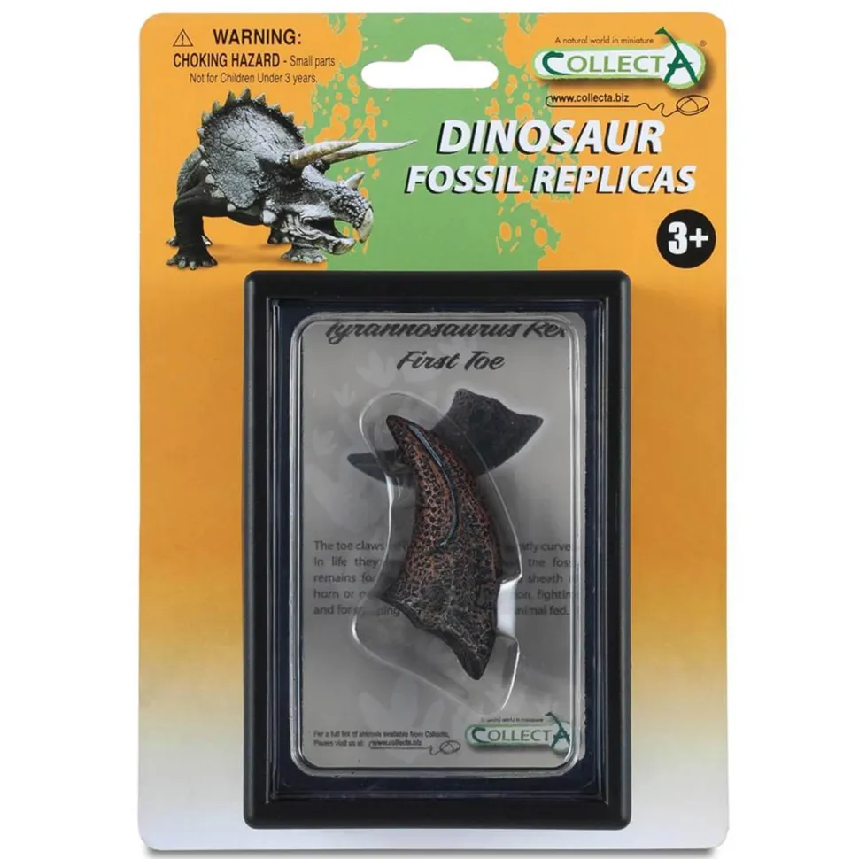 Coffret préhistorique : Premier Orteil de T-Rex (Réplique de fossile) - Figurines Collecta