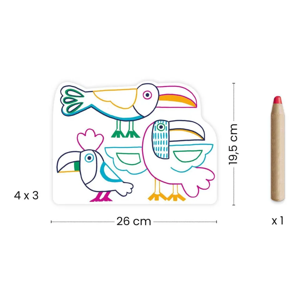 Coloriages à révéler : Familles sauvages - Djeco
