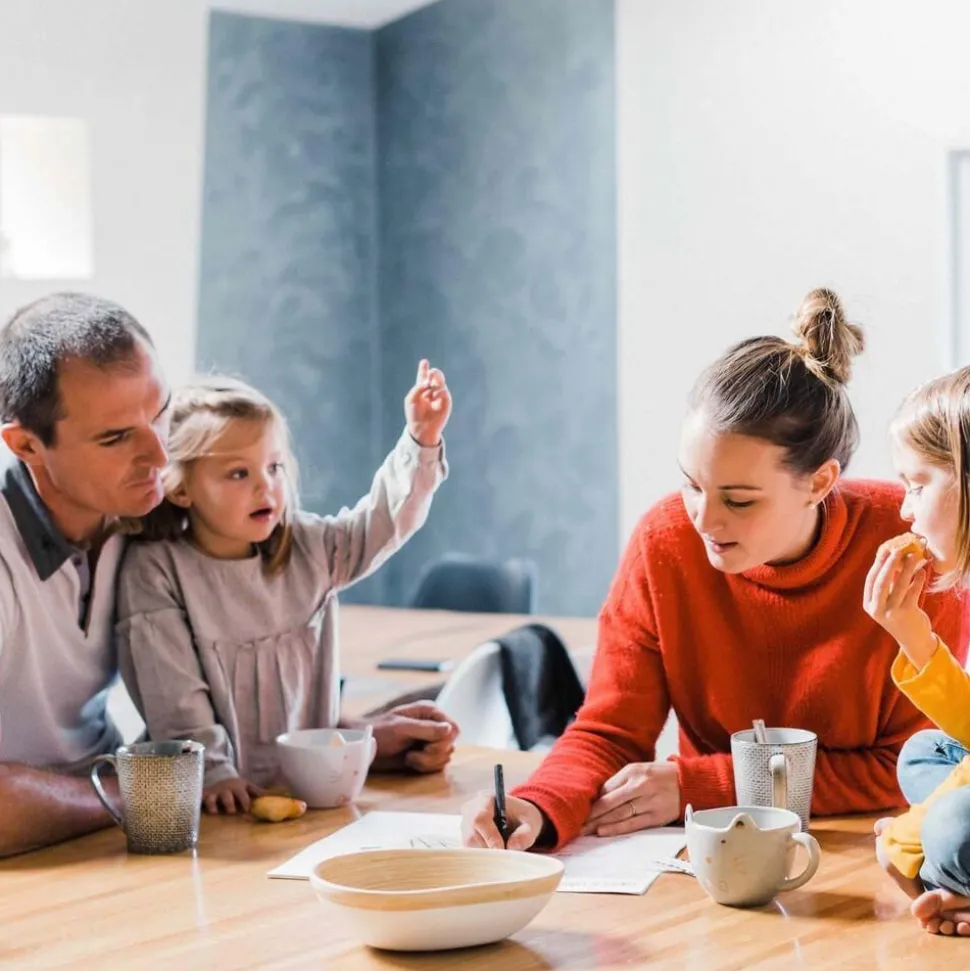 Conseil de famille - L'atelier Gigogne