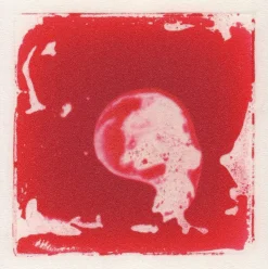 Coussinets de fascination, set de 4 - Eduplay