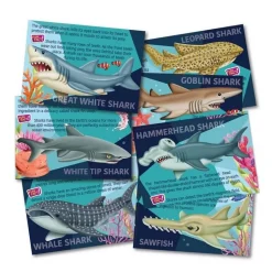 Crea KIT DE MOULAGE: Requin - 4M