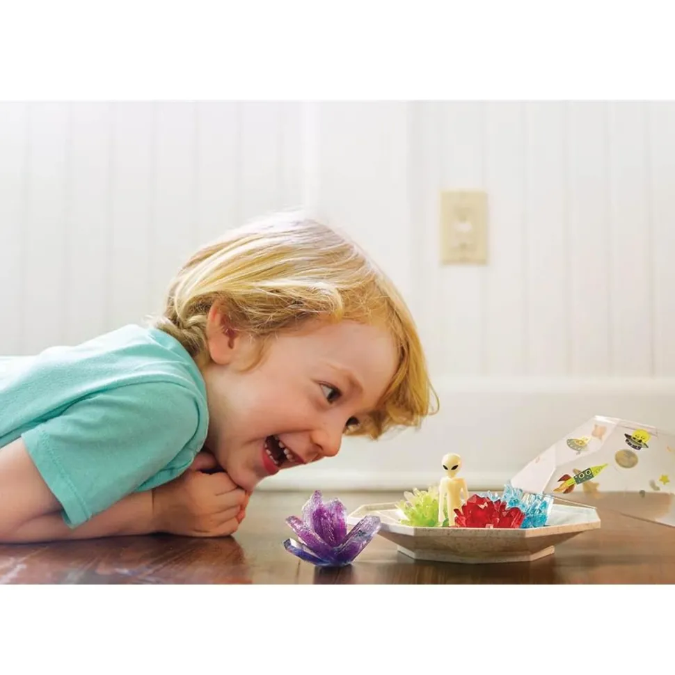 Crystal Growing - Espace - Dam