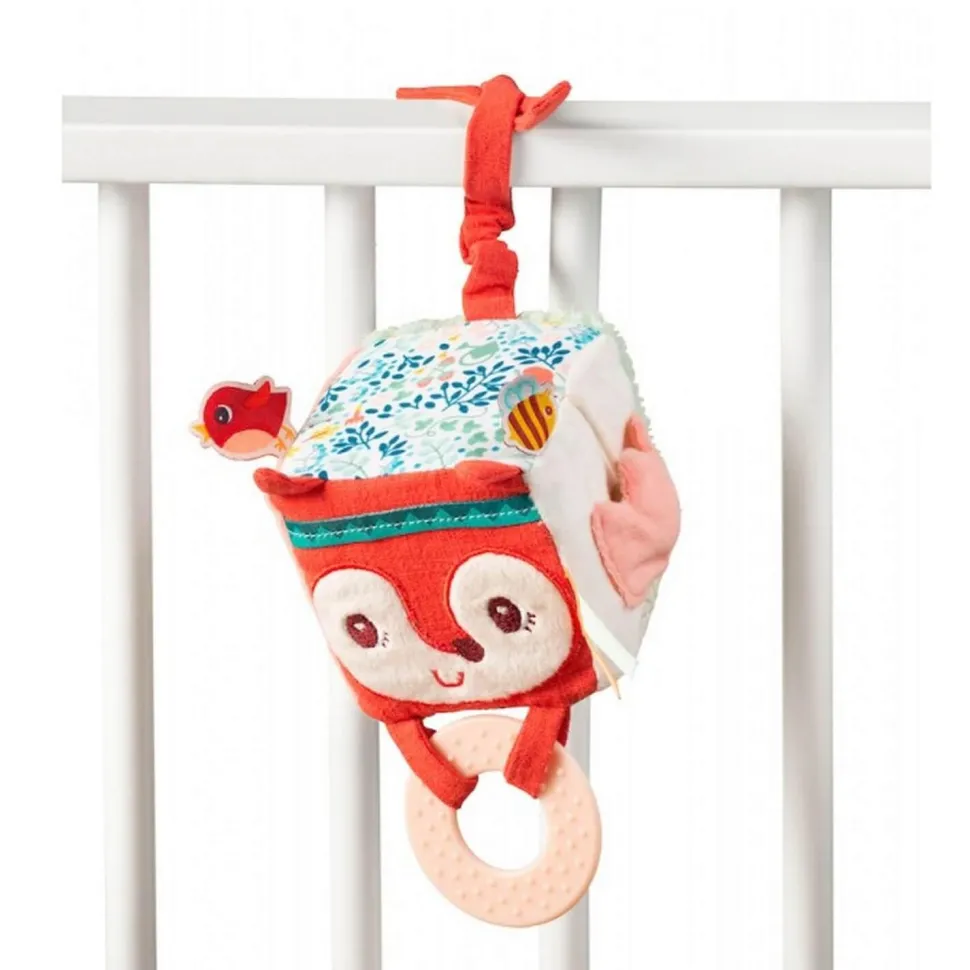 Cube d'activité : Alice - Lilliputiens