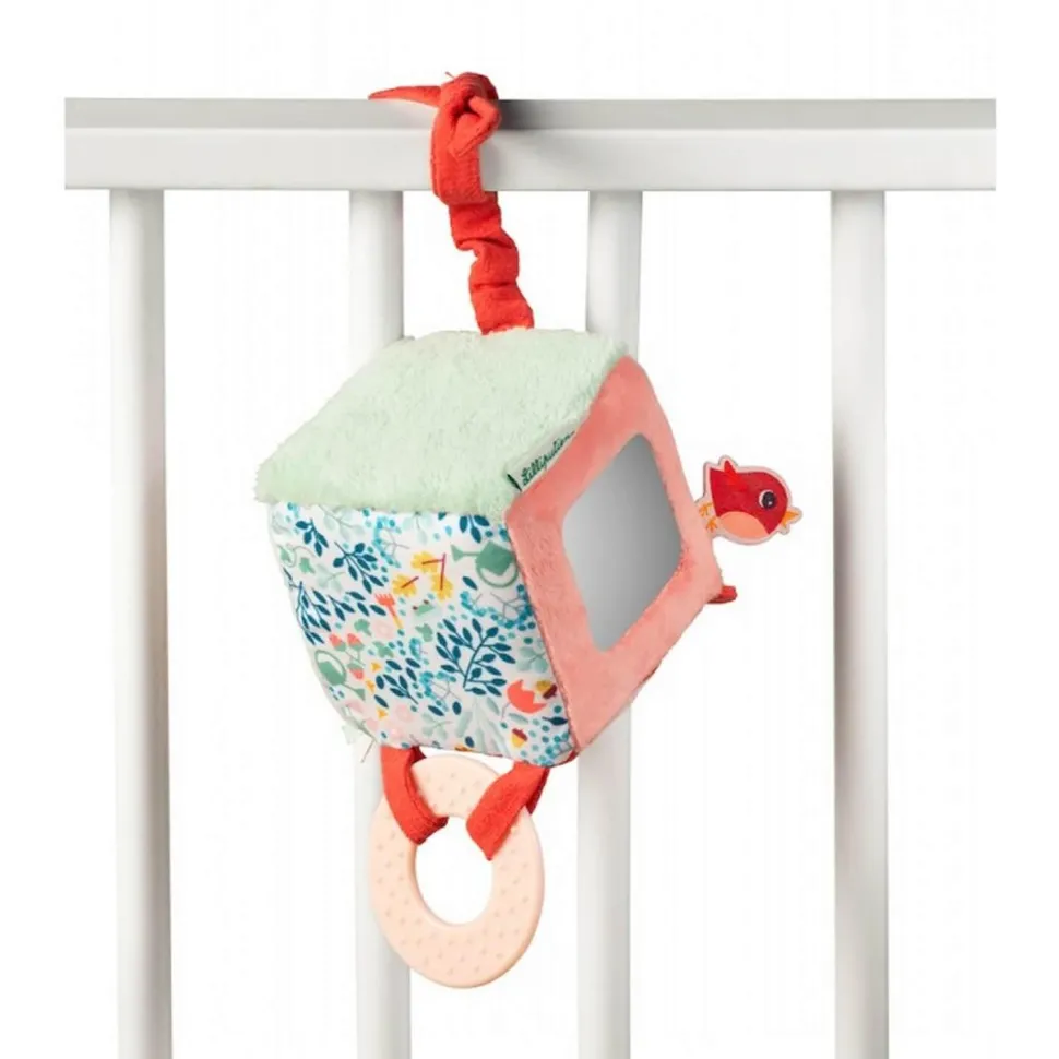 Cube d'activité : Alice - Lilliputiens