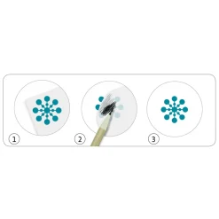 Décalcomanies : Savane, désert et pôle nord - Djeco