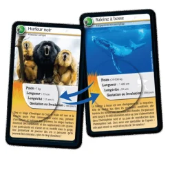 Défis Nature : Records des animaux - Bioviva