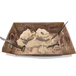 Déterre ton dinosaure : Stegosaure - 4M