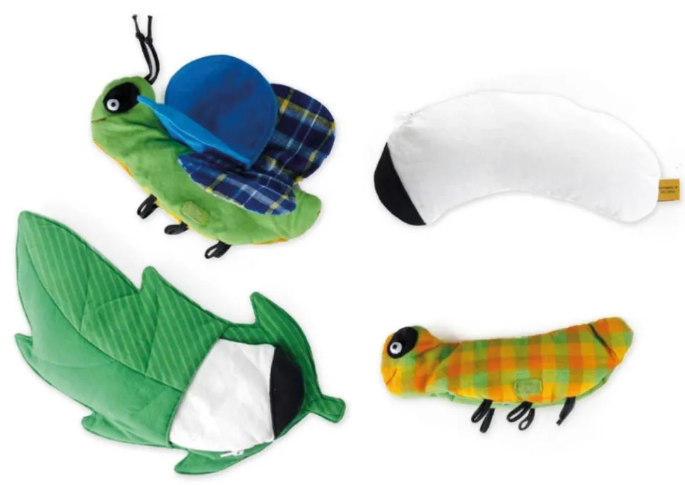 Développement du papillon en tissu - Eduplay